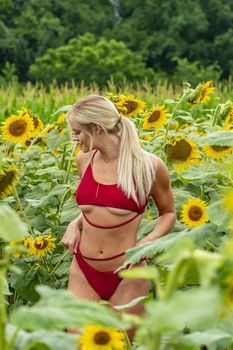 A gorgeous blonde model poses outdoors in a field of sunflowers while enjoying a summers day