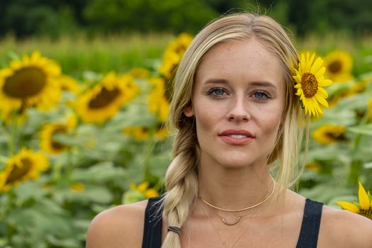 A gorgeous blonde model poses outdoors in a field of sunflowers while enjoying a summers day