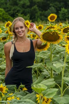 A gorgeous blonde model poses outdoors in a field of sunflowers while enjoying a summers day