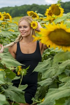 A gorgeous blonde model poses outdoors in a field of sunflowers while enjoying a summers day