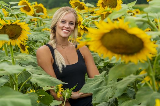 A gorgeous blonde model poses outdoors in a field of sunflowers while enjoying a summers day