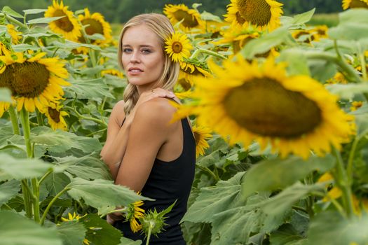 A gorgeous blonde model poses outdoors in a field of sunflowers while enjoying a summers day