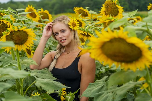 A gorgeous blonde model poses outdoors in a field of sunflowers while enjoying a summers day