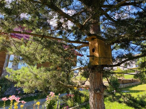 the birdhouse on a tree