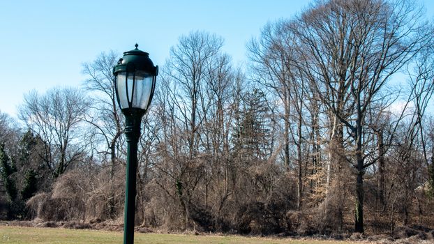 A Black Metal Light Post in a Large Field With A Forest in the Background