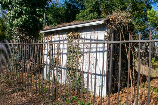 An Old Abandoned White Shed in a Suburban Back Yard