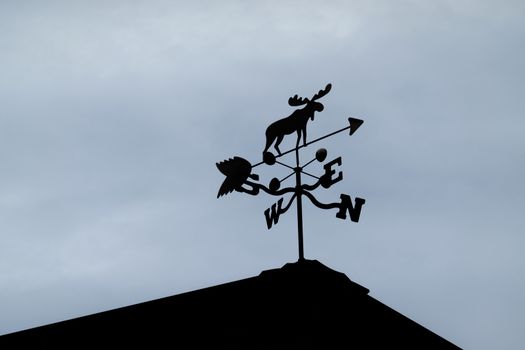 Silhouetted moose weather vane on top of a roof.
