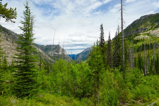 Veow of a mountian valley off of East Fork Road in the Sawtooth National Frorest.