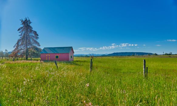 Old homestead in alpine meadow with the Grand Teton mountains in the distance.