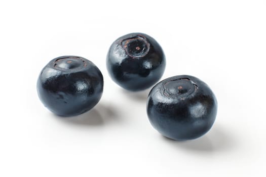 Three shiny dark blue blueberries isolated on white background.