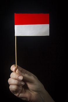 Hand with small flag of state of Indonesia