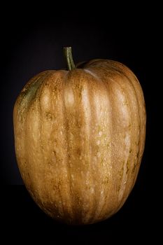 Ripe whole orange pumpkin on black background