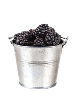 blackberries in bucket on a white background