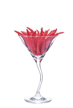 Hot, red chili peppers in a martini glass isolate on a white background