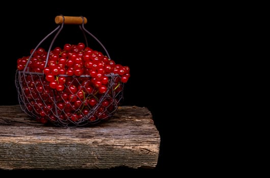 Red currant in a metal basket on black background.