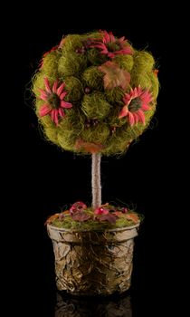 Handmade floral topiary tree made tree of happiness, decorative tree on black background
