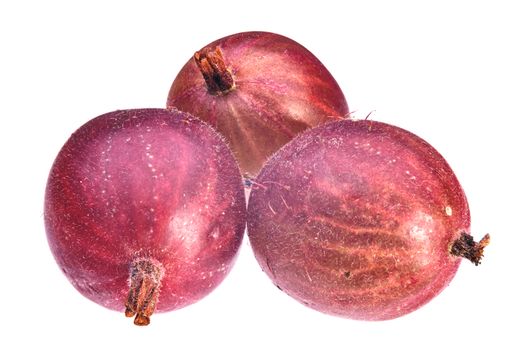 Three Large Gooseberry Macro on isolated white background.