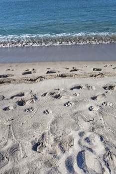 seascape from sea shore in summer season for background