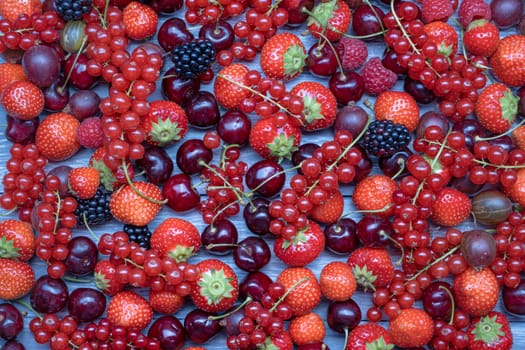 Berries overhead closeup colorful assorted mix as background of strawberry, blueberry, raspberry, blackberry, red currant in studio on gray background.