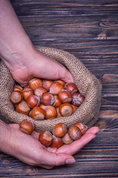 Close up woman hand holds hazelnut on a wooden background.