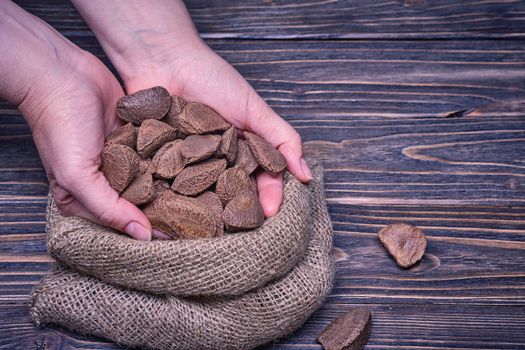 Close up woman hand holds paranuts nut on a wooden background.