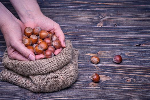 Close up woman hand holds hazelnut on a wooden background.