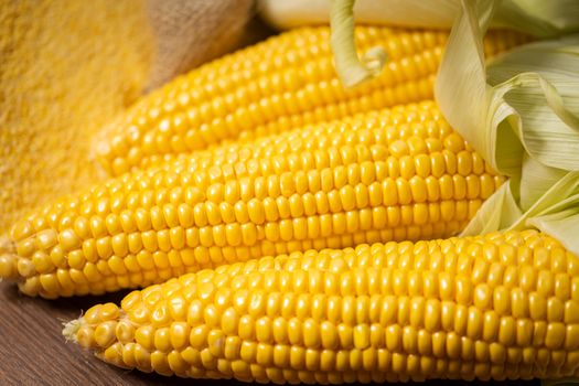 Ripe young sweet corn cob,on stack cornmeal on wooden background,close up.Gluten free food concept