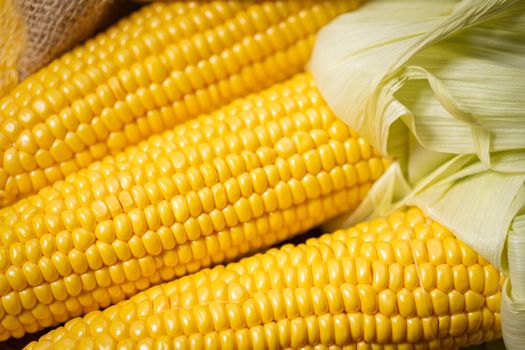 Ripe young sweet corn cob,on stack cornmeal on wooden background,close up.Gluten free food concept