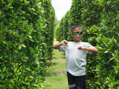 Portrait of a boy standing in a green bush.