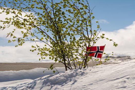 Winter scene with snow, small tree with leafs and norwegian flag. Landscape and seasonal