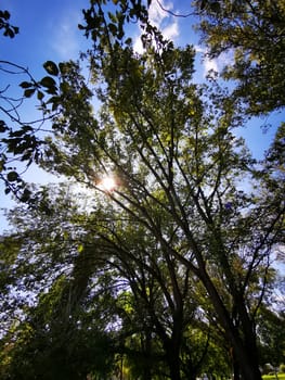 Beautiful sunshine among the trees in Miskolc High quality photo