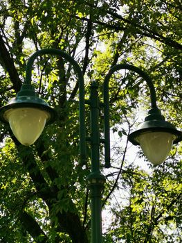 A lamp next to the trees in Miskolc High quality photo