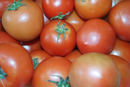 Close-up view of red tomatoes in market for sale. A fruit background for text and advertisements