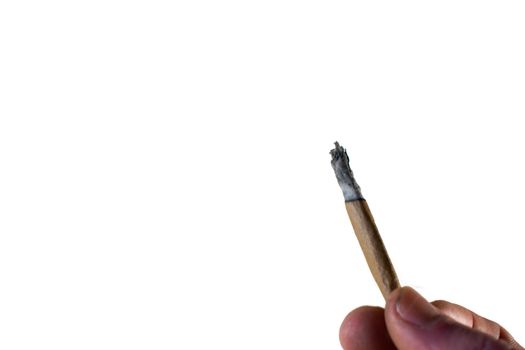 A Man Holding a Lit Brown Cannabis Cigar on a Pure White Background