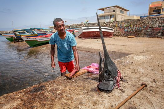 Palmeira, Cape Verde - June 16, 2014:  Young local boy cleaning and gutting fresh fish, with swordfish head in front of him. Fishing is one of main sources of food in Sal, Cape Verde.