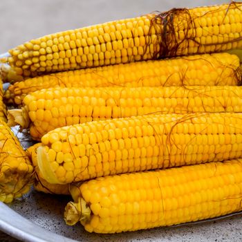 Boiled corn on an aluminum tray. Yellow boiled young corn, useful and tasty food.