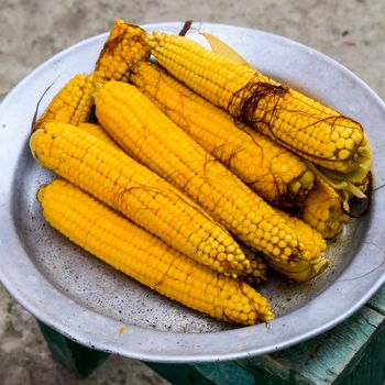 Boiled corn on an aluminum tray. Yellow boiled young corn, useful and tasty food.