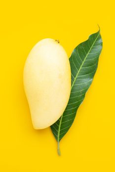 Tropical fruit, Mango with leaves on yellow background. Top view
