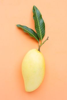 Top view of yellow mango on orange background, Tropical fruit  juicy and sweet.