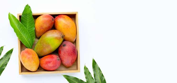 Tropical fruit, Mango  in wooden box on white background. Top view