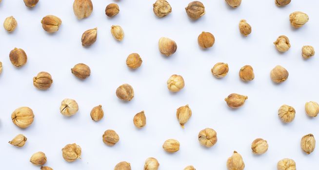 Siam Cardamom or Kapulaga on white background.