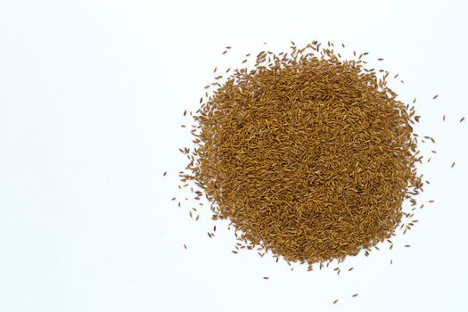 Cumin or caraway seeds on white background.