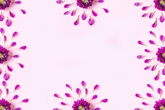 pink chrysanthemum on a pink background with a space for text. layout of pink and green petals on a pink background with space for text. concept of women's holiday, spring holiday, Valentine's day.