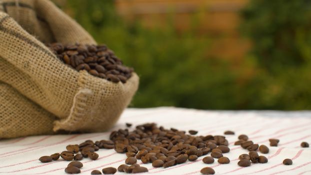 Close-up coffee beans in a burlap jute sack on a table in the garden