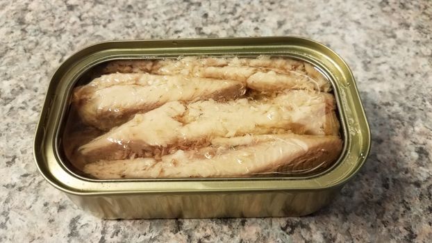 metal can of sardine fish in oil on counter