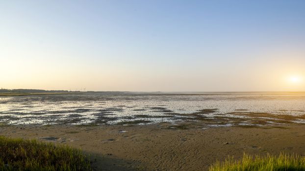 Salt marsh | Wadden Sea National Park