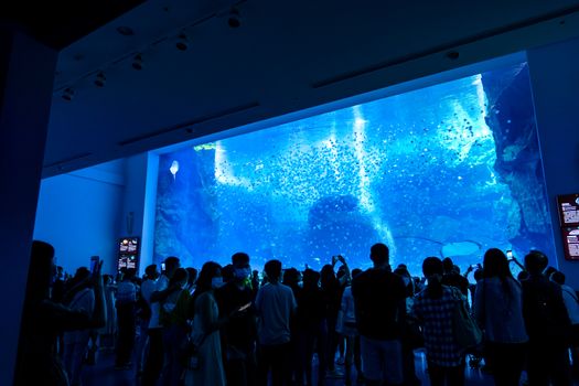 Taoyuan, Taiwan - Sep. 02, 2020: New-opened aquarium - Xpark building, popular landmark of Taoyuan Qingpu.