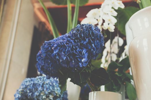 blue hydrangea flower bouquet bunch in vase. flora decoration