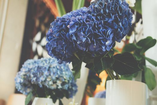 blue hydrangea flower bouquet bunch in vase. flora decoration