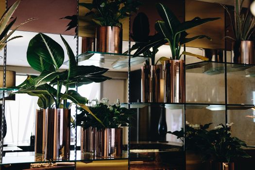 green plant leaves bush arrangement for decoration